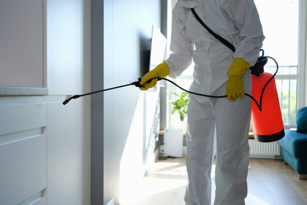 Best Bed Bug Extermination  in Bettendorf, IA